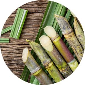 kwas glikolowy, klinika medycyny estetycznej roseti med&beauty w myślenicach