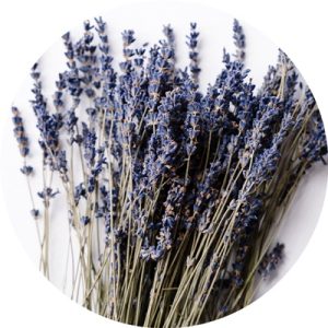 aromaterapia kliniczna, olejek lawendowy, klinika medycyny estetycznej roseti med&beauty w myślenicach